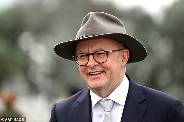 There is a growing call among Labor MPs for more immediate cost-of-living relief and also for support for a review of Labour's negative gearing policy (Photo: Prime Minister Anthony Albanese)