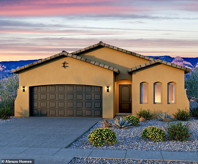 Pictured: The Harriet: The Zillow post was read before it was deleted: 'Like Harriet Tubman, the icon of American courage and freedom, this home stands out from the crowd,' read the ad featuring the entertainer's kitchen, the great room and vaulted ceilings'