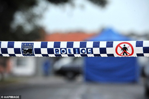 A red Ford Falcon collided with a white Toyota Hi-Ace van traveling in the opposite direction on Bardon Road in Logan Central at around 11pm on Sunday (stock image)