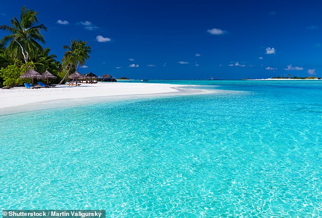 The white sand beach in the Maldives (pictured) was also on the list