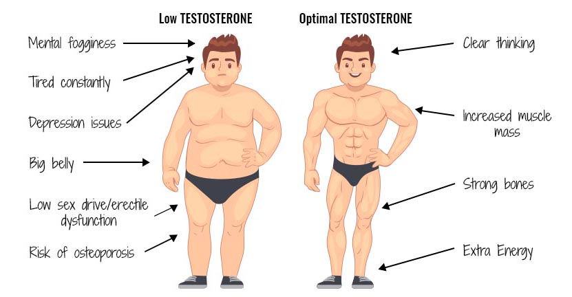 Low Testosterone Levels