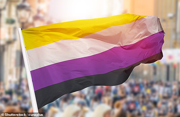 A massive change to birth certificates will mean millions of adults and teens can now select non-binary based on their gender (non-binary flag pictured)