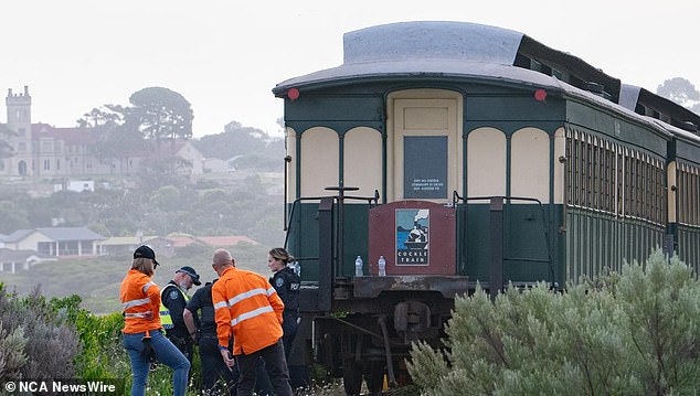 The elderly tourist was hit by the train (pictured) while one passenger said the man appeared to be crossing the tracks before he was hit