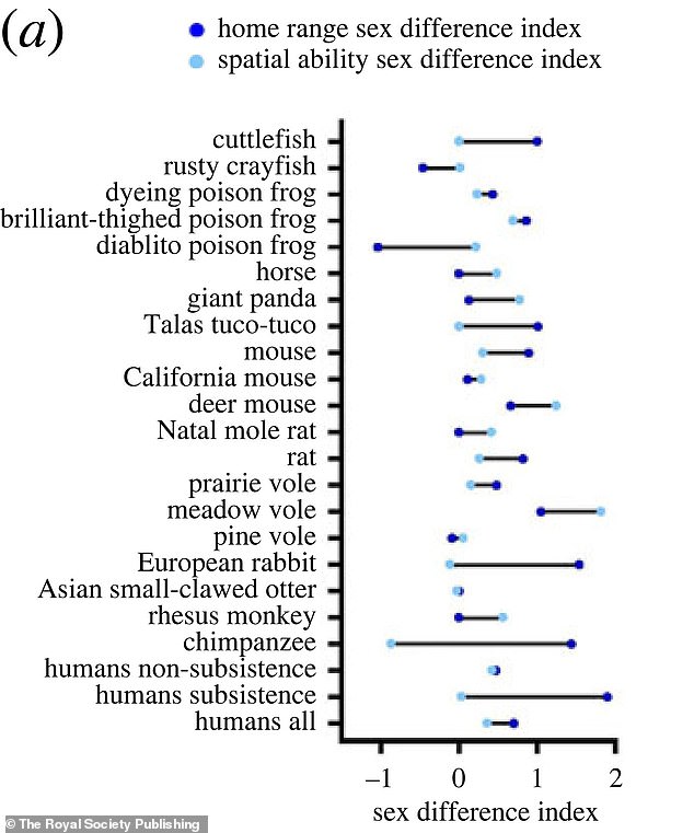 Rhodes and his team first looked at the species' home range measurements to see how far each genus traveled from its base, mainly through observation, radio tracking or trapping.