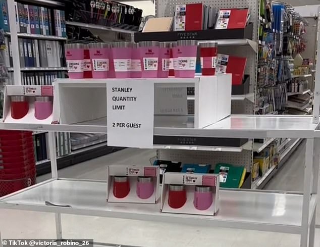 Catherine Carter, who worked for Target for 19 years, was fired for purchasing the limited-edition pink Stanley Cup (pictured) in memory of her mother who died of breast cancer