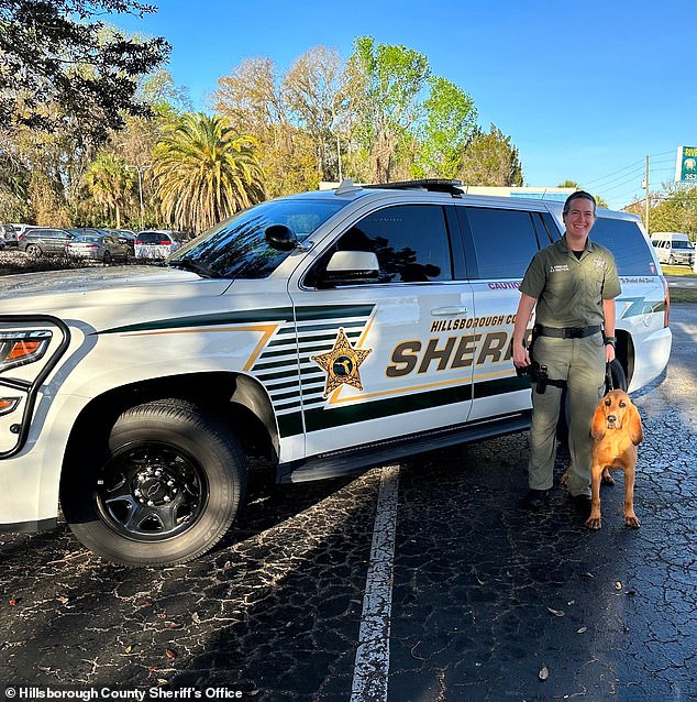 Hillsborough County Sheriff's Deputy Sarah Ernstes (pictured) and K9 Mary Lu responded to a call for assistance in a missing persons case on Friday, January 26