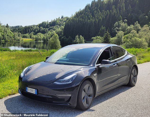 The recall, issued Thursday, affects 4,382 Tesla Model 3 and Model Y vehicles built between 2022 and 2023 (Tesla Model 3 shown)