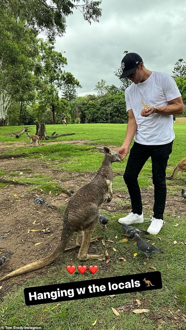 Tom Brady (pictured) got to know some locals during his trip to Australia this week.  The retired NFL legend, 46, went to a wildlife park where he was able to hand-feed some kangaroos and wallabies