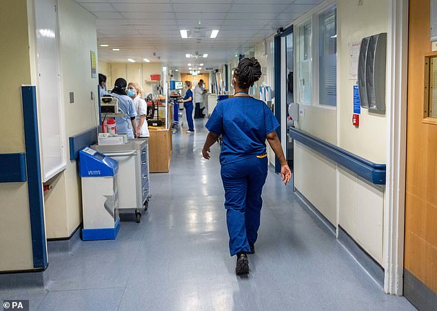 The NHS Emeritus pilot project will initially run for a year across England to help reduce waiting times for elective-only care.  Pictured: General view of staff on an NHS hospital ward