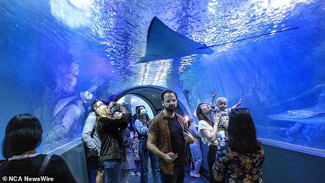 On Saturday, Victoria's Department of Health issued an alert listing nine new exposure sites visited by confirmed measles cases while infectious, including Melbourne's Sea Life Aquarium (pictured)