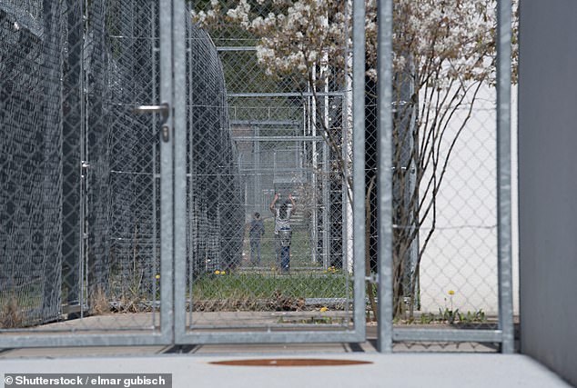 A Rohingya pedophile – known only as NZYQ – who was released from immigration detention after a Supreme Court ruling found he had been unlawfully detained could be entitled to compensation (stock image of an asylum seeker in immigration detention)