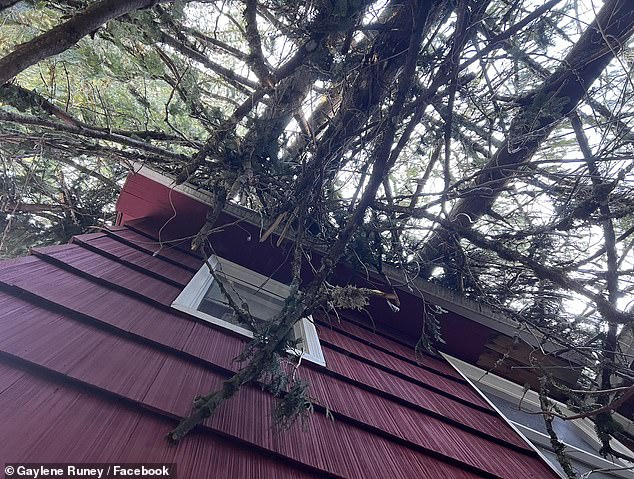 Gaylene Runey of Washington County was without power for more than a week and then found herself without water and heat after more than a dozen trees fell on her home