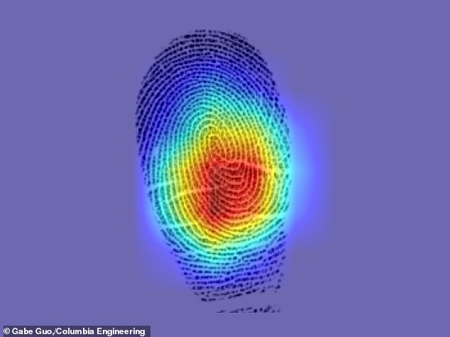 The salience map highlights areas that contribute to the similarity between the two fingerprints of the same person