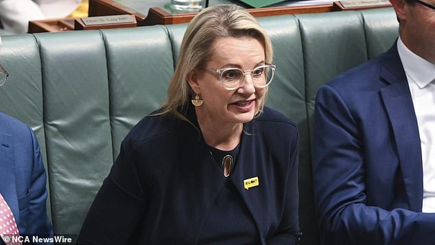 Deputy Liberal leader Sussan Ley (pictured) called on Mr Albanese to apologize to higher income earners who would be worse off under his plan