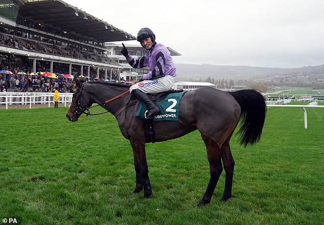 Paul Nicholls has backed Stage Starr to continue his impressive form at Cheltenham