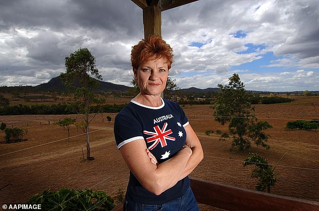 Pauline Hanson has joined the chorus of criticism at Woolworths over its decision to stop selling merchandise on Australia Day this year