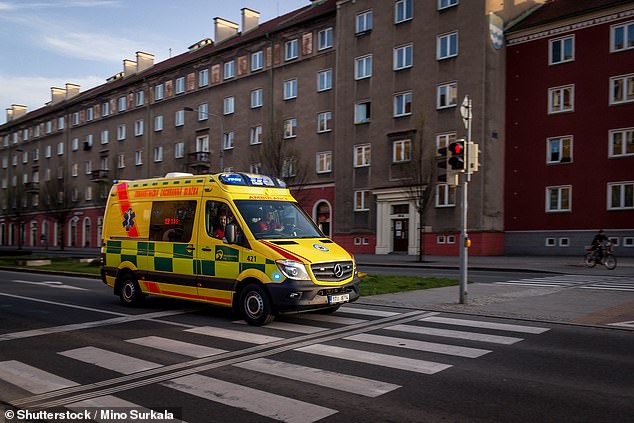 A half-naked man high on crystal meth was found running through a village in the Czech Republic after cutting off his ears and penis before telling rescuers: 'I don't know why I did that' (file image)