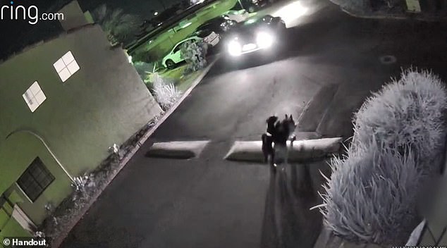 An Arizona couple was shocked after watching Ring doorbell footage and discovering their dogs had crossed into a busy road while being watched by a dog sitter