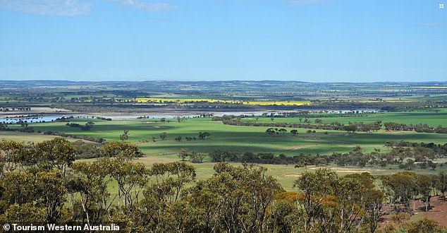 A microlight aircraft has crashed in Beverley (above), in the Wheatbelt region of Western Australia