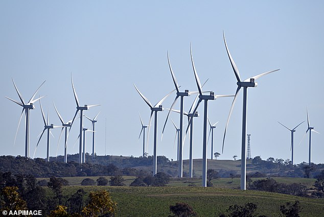 ACEN Australia must pay $100,000 for each death of a wedge-tailed eagle or orange-bellied parrot caused by turbines on Robbins Island (photo, wind turbines south of Goulburn, NSW)