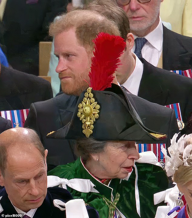 The Princess Royal had raised concerns with coronation organizers that a feather on her headpiece would make for 'quite a large hat', but a new royal book says she should wear it anyway.  Pictured is Prince Harry and Princess Anne during the historic event