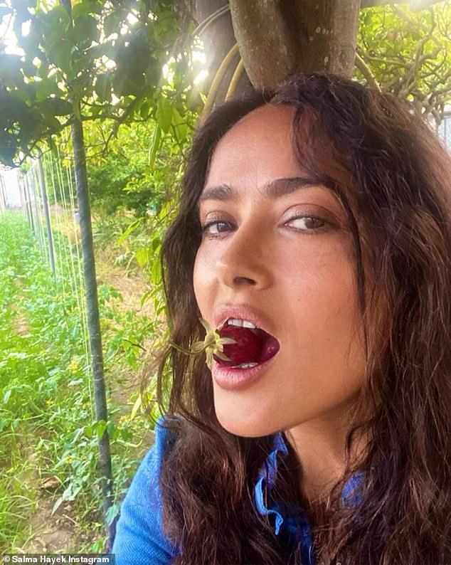 Salma Hayek showed off her seemingly ageless face in photos taken this week during a recent trip to a 'magical island' in Italy