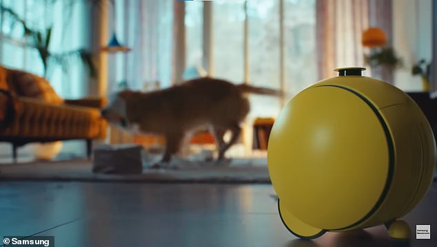 Samsung's Ballie, which hasn't yet been released, can apparently distract your dog from tearing up the couch.  But it can't do your dishes