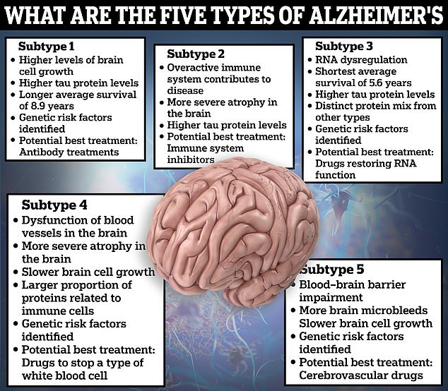 Dutch experts have found five subtypes of Alzheimer's disease after examining the proteins in the cerebrospinal fluid, found in the brain and spinal column, of more than 400 patients