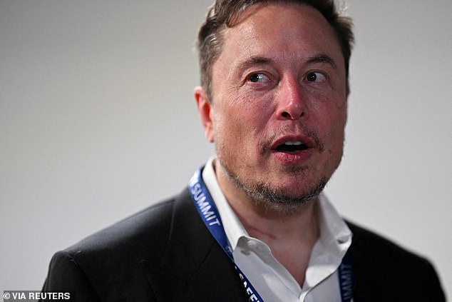 Elon Musk (photo), who brags about 'always hitting the baby drum', has been warning of a decline in births for years