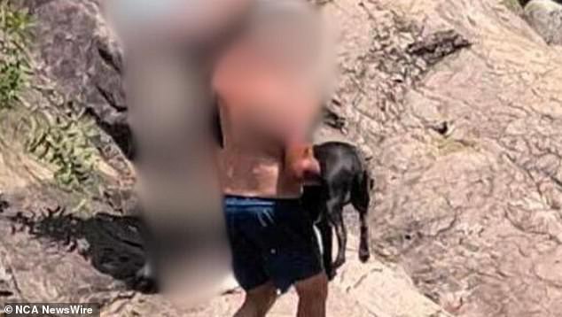 A man in his 40s was at the watering hole with his dog when it allegedly attacked another dog.  The man then turned on the group of spectators after several people confronted him