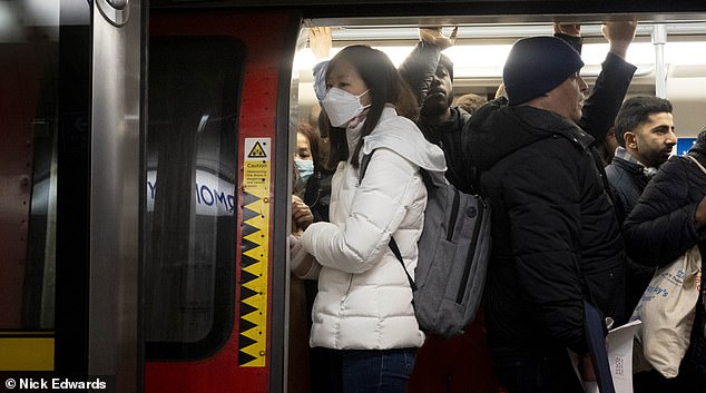 The latest results show that 3.2 per cent of people across England were infected at the start of January, compared to a peak of 4.6 per cent just before Christmas.  Pictured: London Underground commuters wearing masks on January 11