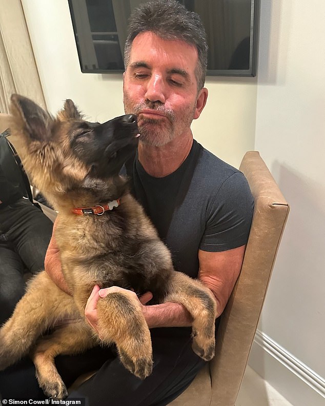 Simon Cowell, 64, shared adorable photos with dog Pebbles on Instagram on Thursday as the dog lover announced the new addition to his family