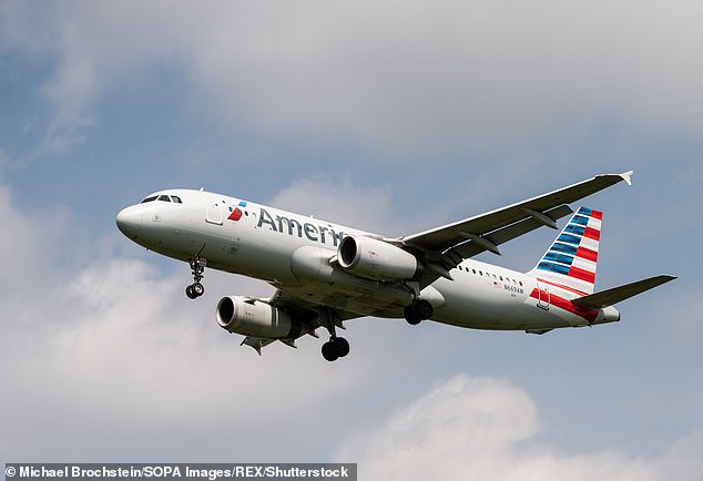 Flight 271 took off from Los Angeles International Airport on Saturday, January 27, before landing at Kahului Airport in Maui, Hawaii, just after 2pm local time.  Stock image of the American Airlines plane.