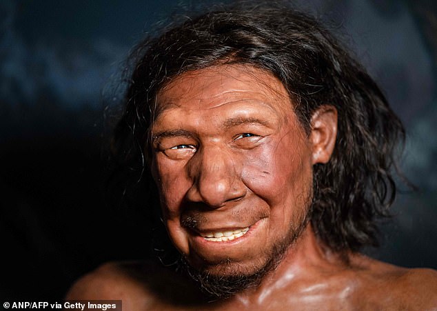 Do YOU ​​have Neanderthal traits?  (Getty)