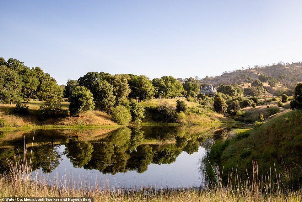 The 1,745-acre, five-bedroom estate, previously sold for $6.5 million, goes under the hammer on February 3