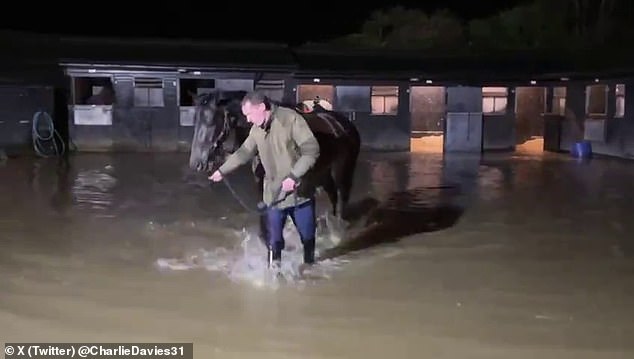 Nicholls' assistant Charlie Davies posted images of the horses being led to safety