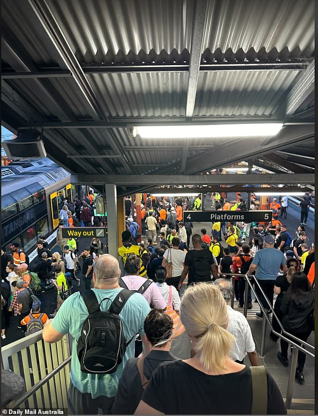 Commuters have been warned to expect delays after a teenager was hit by a train between Sydenham and St Peters stations.  The photo shows Sydenham station early on Tuesday morning