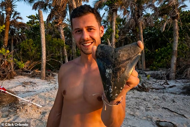 Jeff Heim, a professional shark tooth collector, was bitten twice in the head by a crocodile in a frenzied attack in Florida's Myakka River in 2021