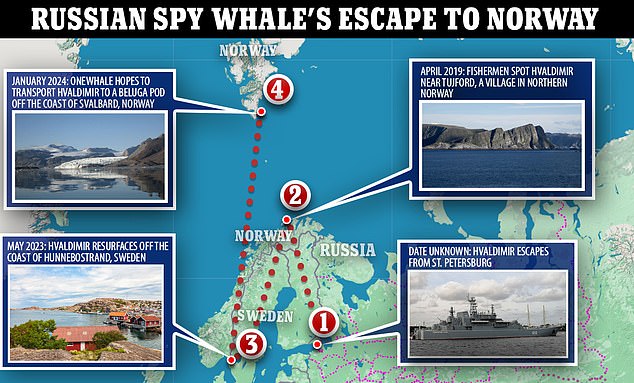 The one defector Putin cant whack Russias former spy WHALE