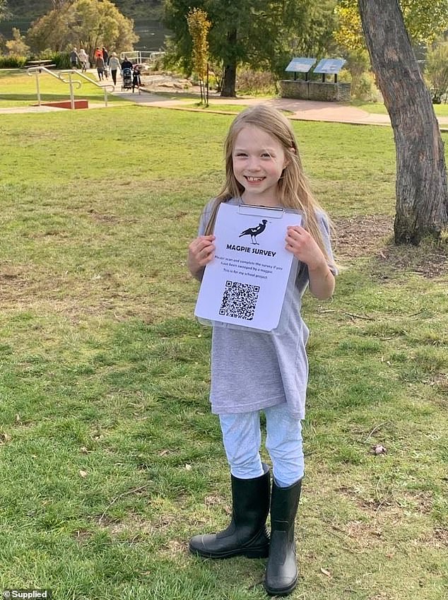 Eight-year-old Australian schoolgirl has won two awards for her groundbreaking research into who magpies target when they dive-bomb people