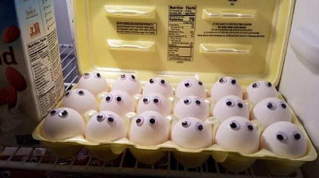 Surprise!  How would you feel if you had 18 pairs of eyes staring at you when you opened the egg carton?