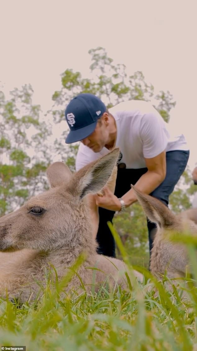 On Tuesday, the legendary quarterback posted an Instagram video of his visit to a Brisbane zoo with his entourage, where he met and fed kangaroos and other animals.