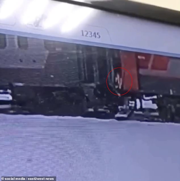 This is the moment the conductor threw the animal out of the carriage as the train stopped in Kirov, east of Moscow