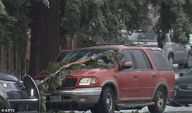 Several people died after being electrocuted by a power line that fell — along with a branch — in Northeast Portland on Wednesday morning.  Police believe the group - which included a teenager, a toddler and two adults - left the car after being frightened by the branch