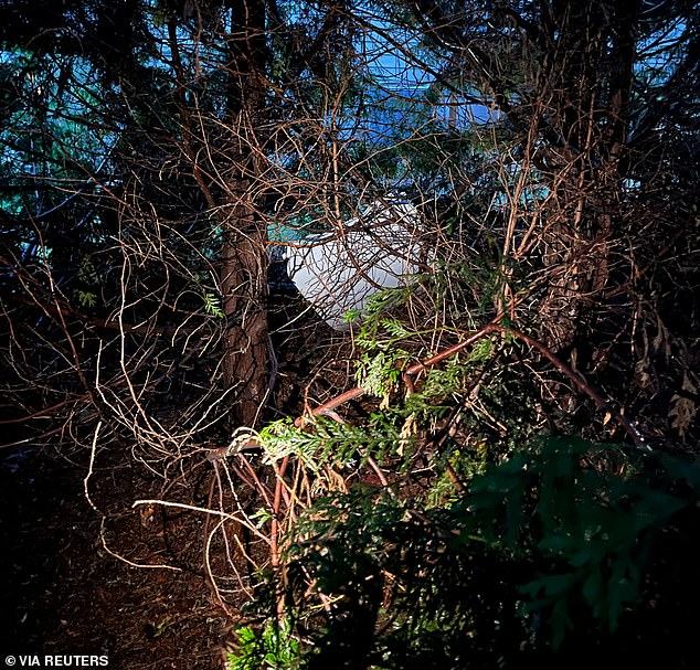 The National Transportation Safety Board has recovered the door plug that blew out in midair on Alaska Airlines Flight 1282