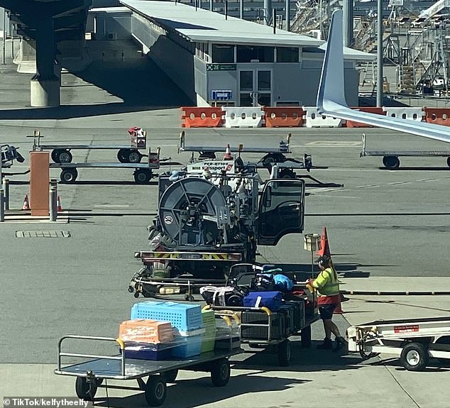 An irate passenger has criticized Virgin Australia after her dog was left on an airport tarmac in sweltering conditions in a container tightly wrapped in plastic (pictured)