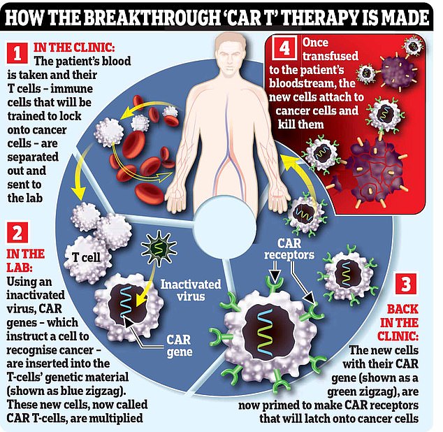 CAR-T therapies, or chimeric antigen receptor T cell therapies, were first approved in November 2017 and are reserved for cancer patients who would otherwise die without this therapy