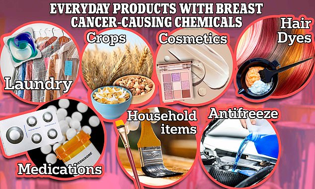 The chart above shows daily items that scientists said contained chemicals that have been linked to breast cancer