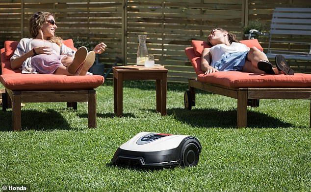 Robotic lawn mowers like this Honda Miimo can help people relax, but they can be a nightmare for hedgehogs who often get tangled in the blades of passing mowers