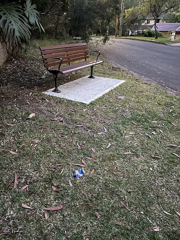 A council has spent $6000 removing a park bench (pictured) in St Ives, on Sydney's North Shore, over safety concerns